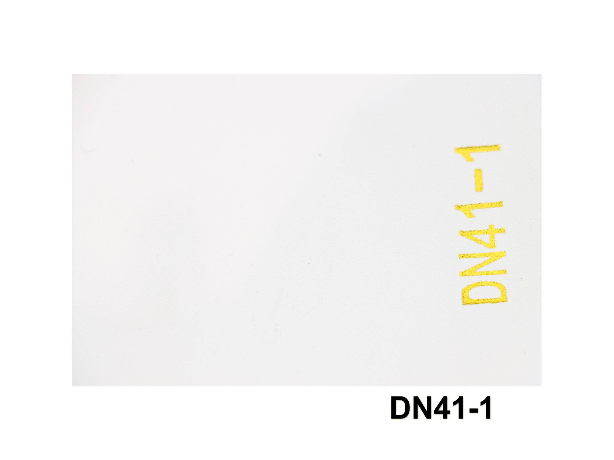 DN41