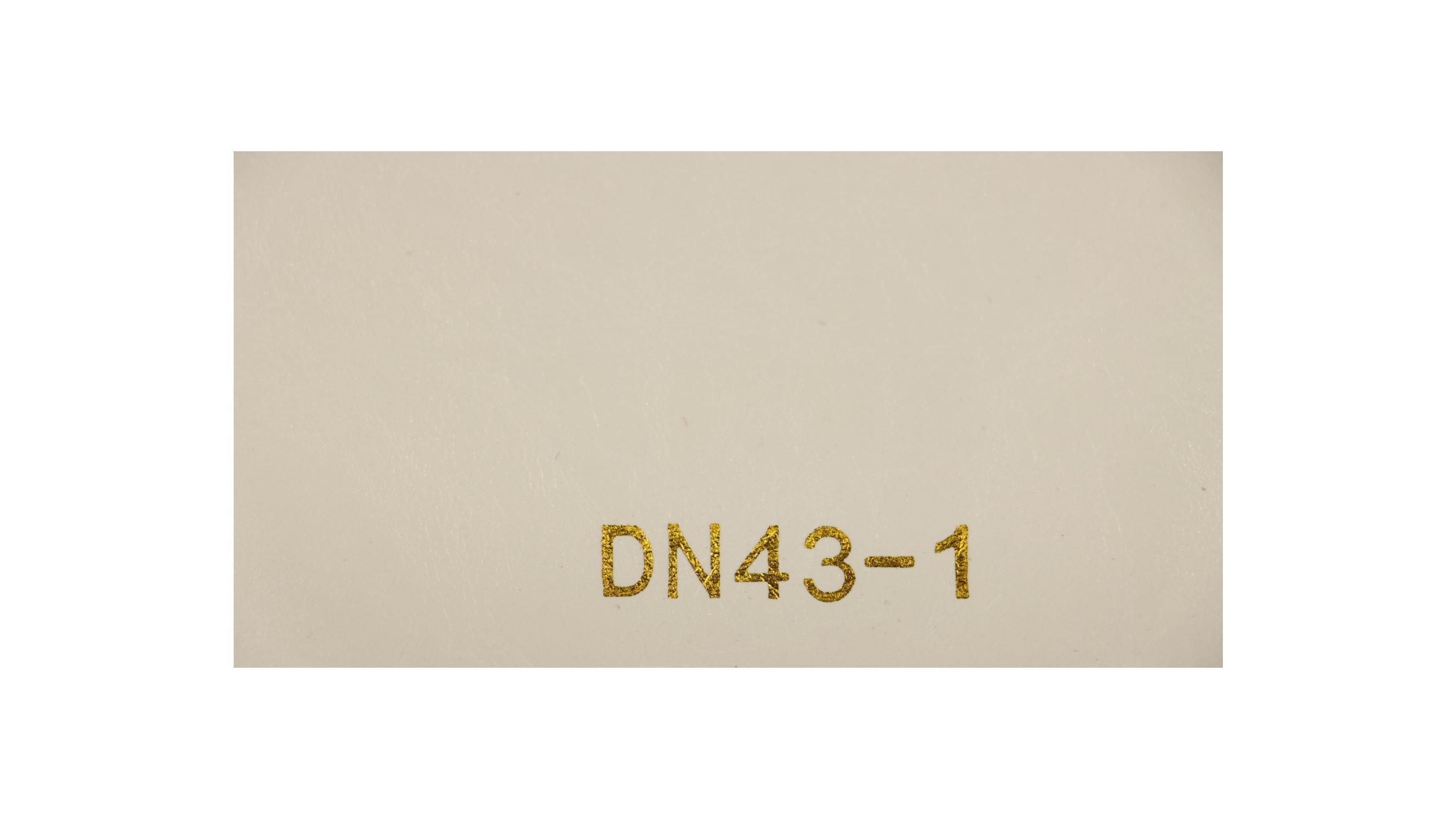 DN43