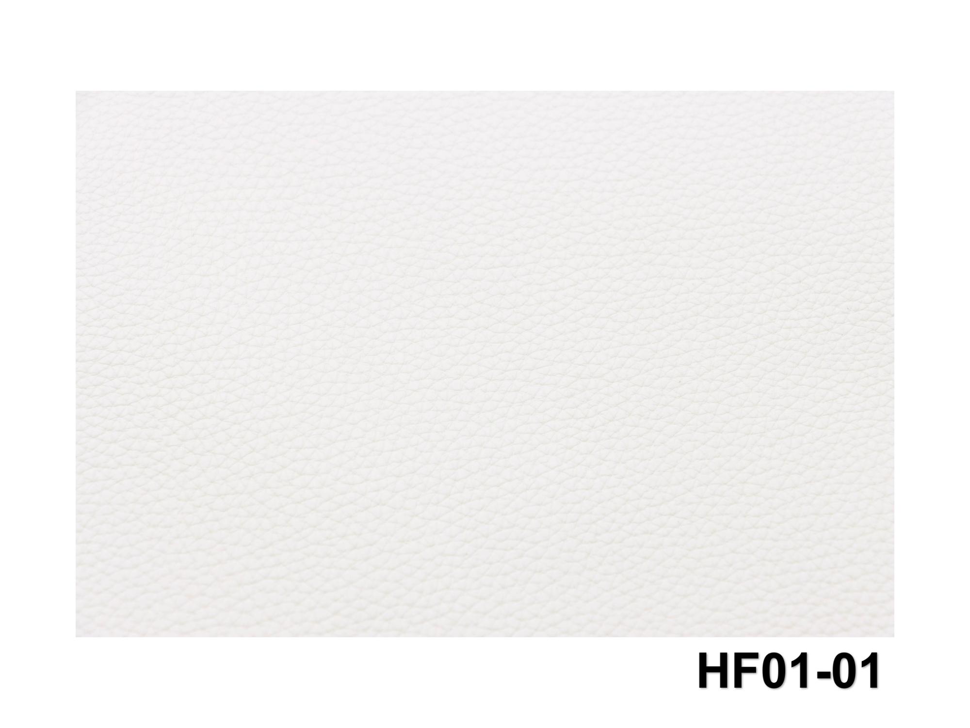 HF01