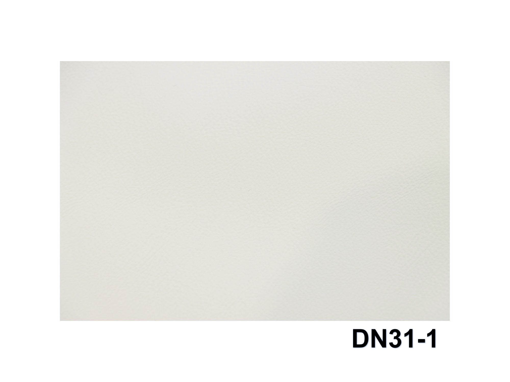 DN31