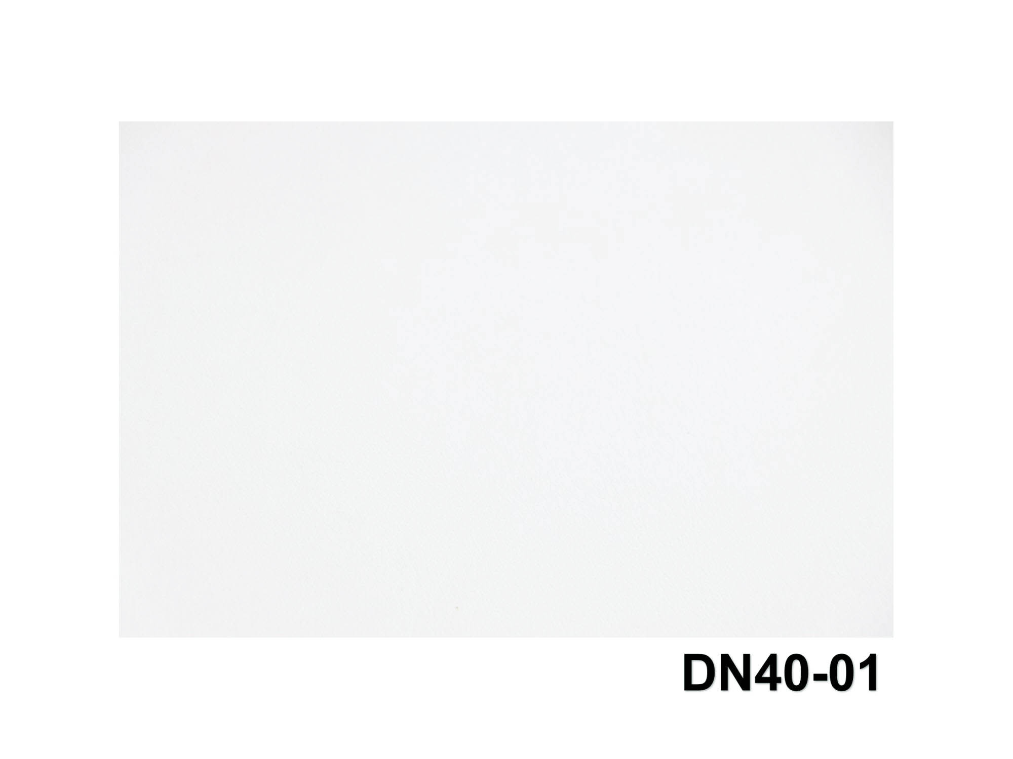 DN40