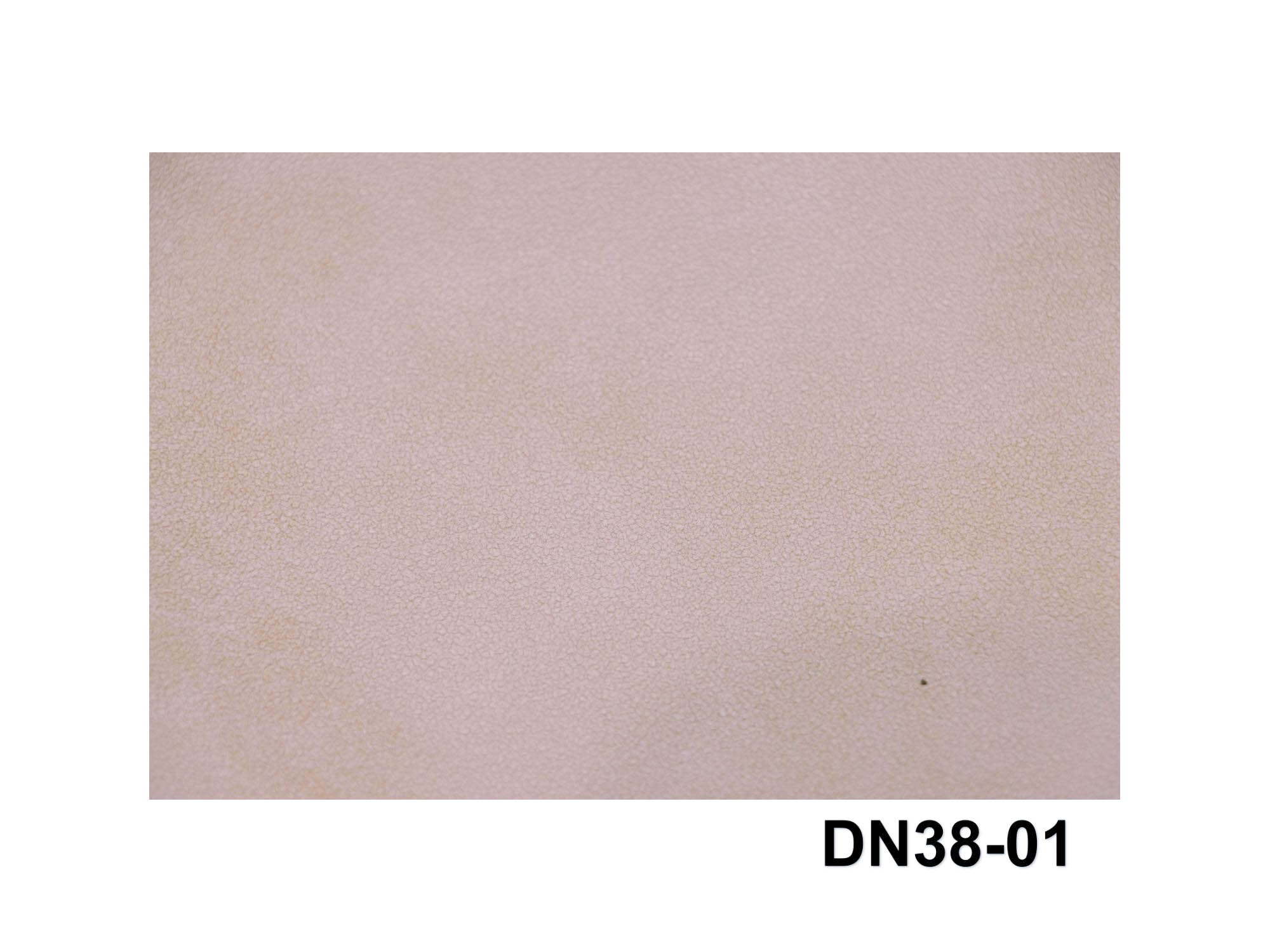 DN38