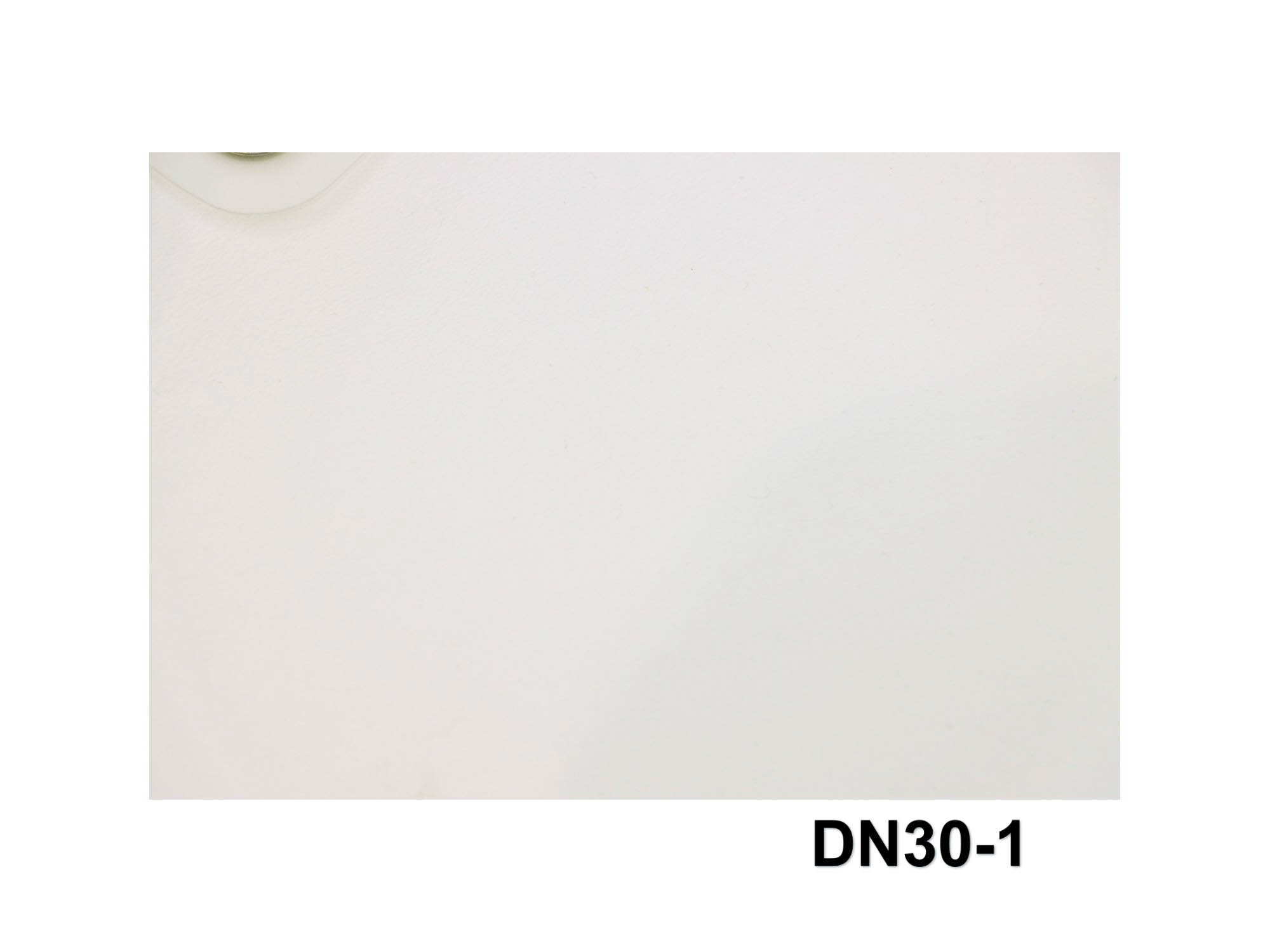 DN30