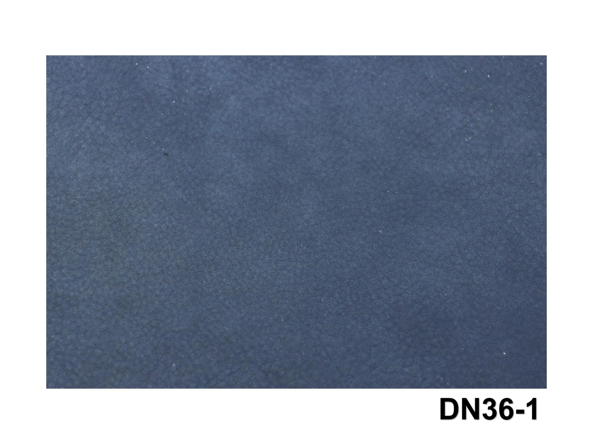 DN36
