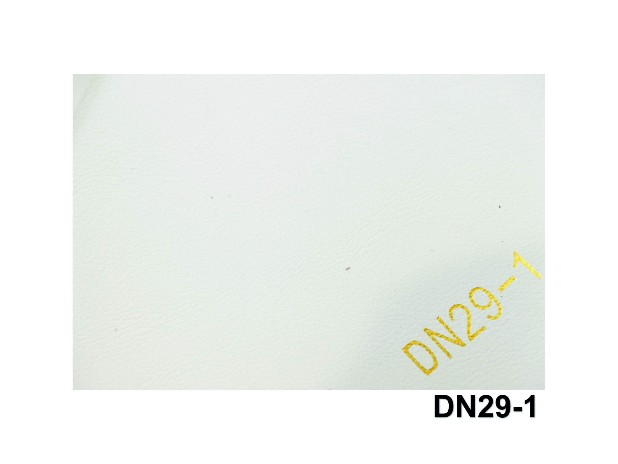 DN29
